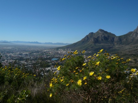 Cape Town - South Africa - Hiking - Tavble Mountaiin